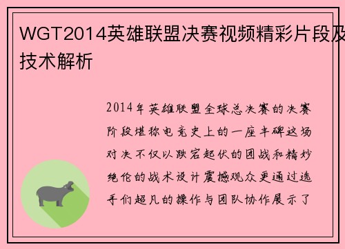 WGT2014英雄联盟决赛视频精彩片段及技术解析
